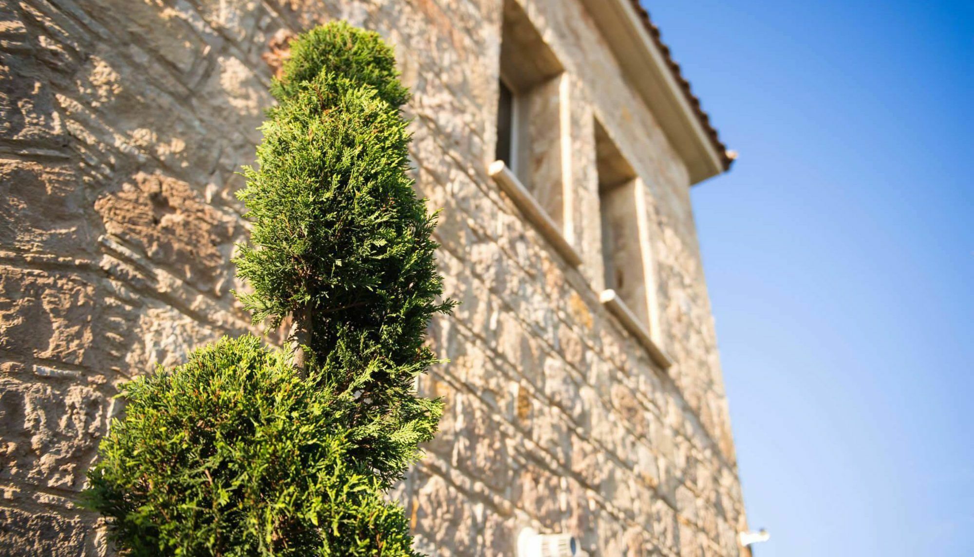Villa Jaimi Peyia Esterno foto